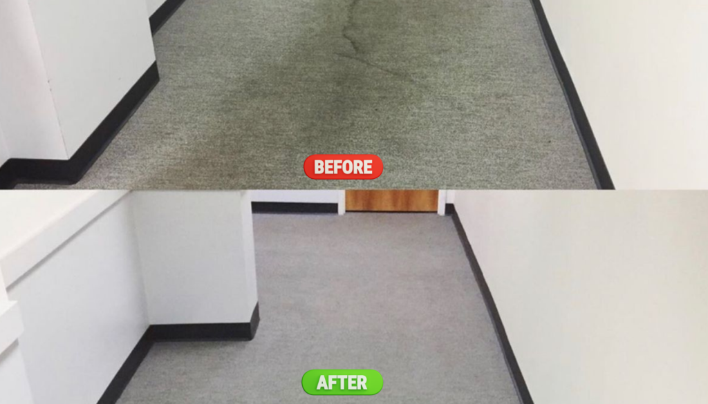 QLD Clean Pro Gallery commercial carpet cleaning before and after Ipswich office carpet deep cleaning results