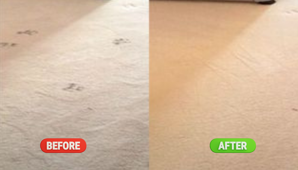QLD Clean Pro Gallery residential carpet cleaning before and after Brisbane home deep cleaning results