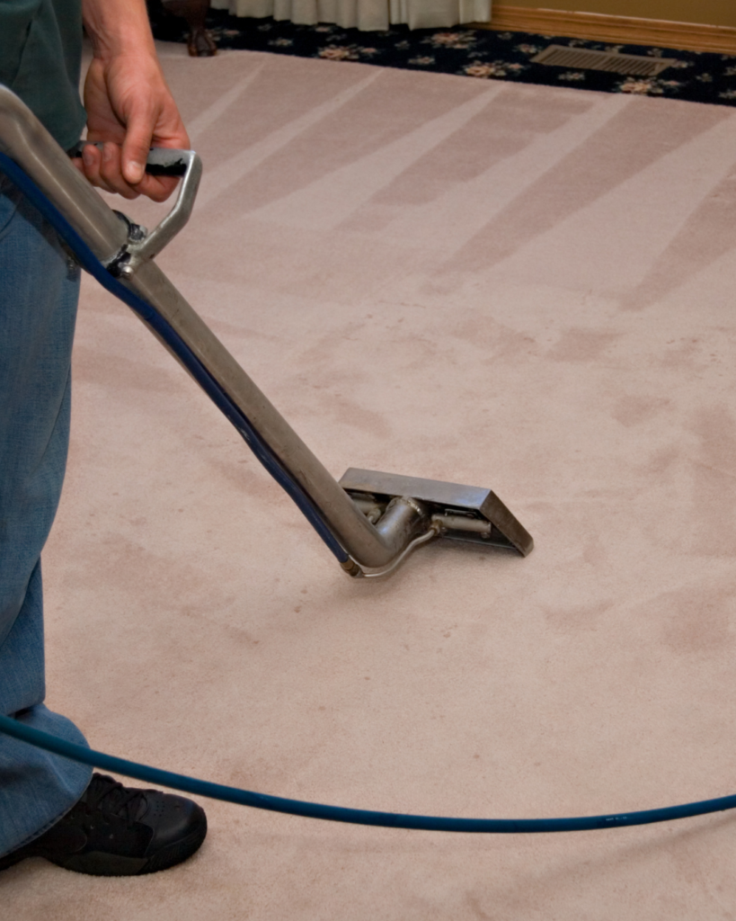 Professional carpet cleaning services Queensland removing stains and dirt from residential carpet